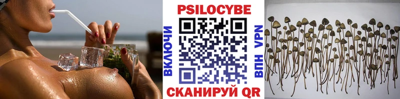 Галлюциногенные грибы Cubensis  Нытва 